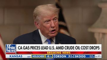 President Trump: We should get an A+ on the economy