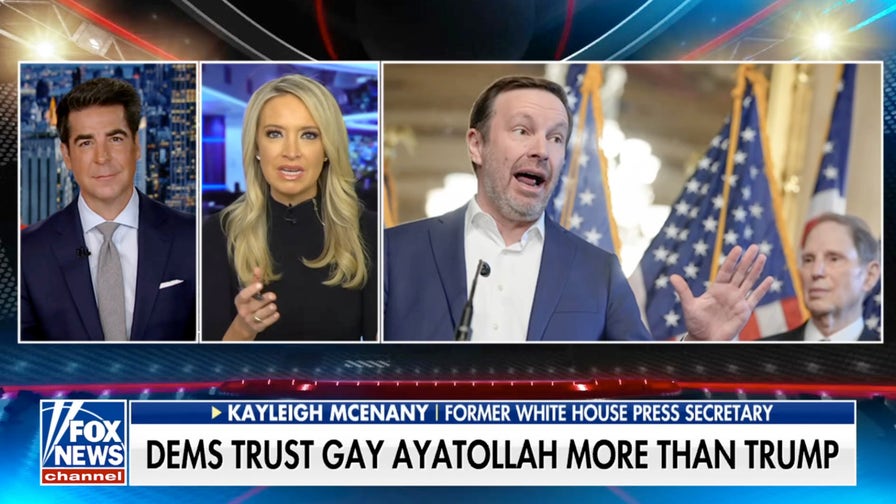 Kayleigh McEnany: Politicians have been ‘lying to you’