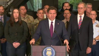 DeSantis hails joint operation with ICE in Florida, says there is a 'new sheriff in town'