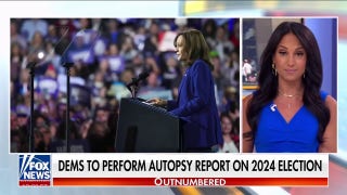 Democrats to conduct 'audit' of 2024 without reviewing timeline of Biden dropping out