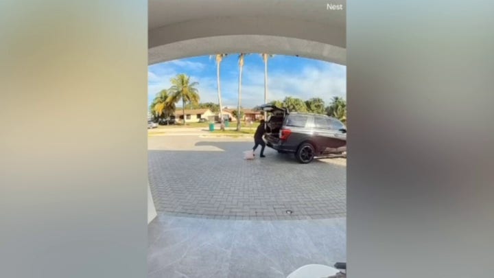 Florida thief caught on home surveillance video stealing outdoor furniture, potted plant