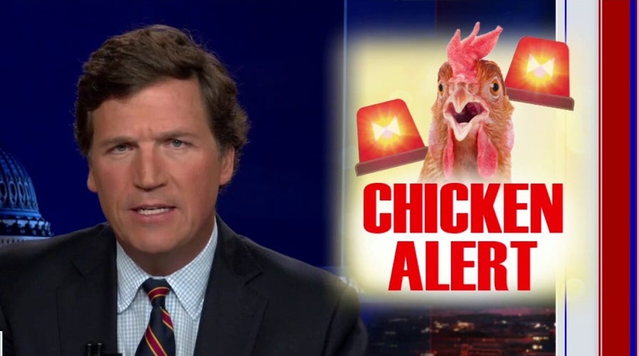 Tucker Carlson embraces chicken enthusiasts 