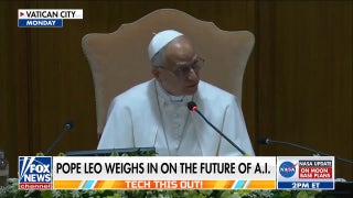 Pope Leo XIV warns Silicon Valley on artificial intelligence regulation