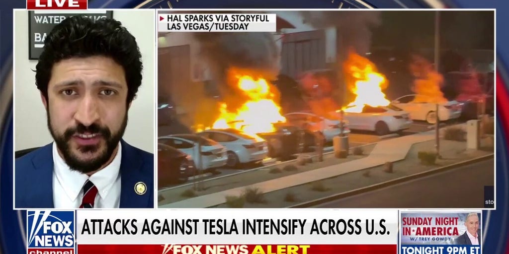 Those who commit attacks on Tesla should be 'held accountable,' Dem lawmaker says | Fox News Video