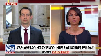 Migrants know Biden will let them into America: Sen. Cotton