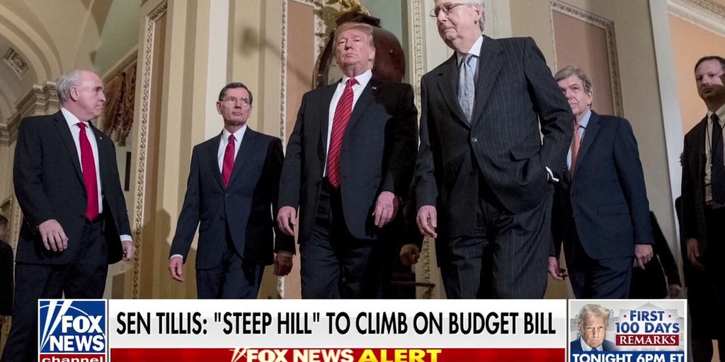 Senate could take longer than 30 days to pass Trump's 'big, beautiful' budget bill