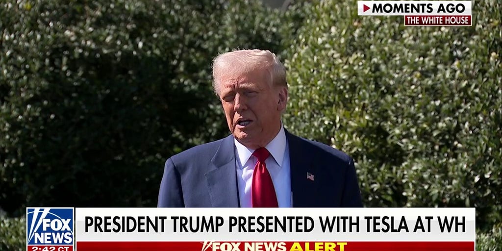 President Donald Trump shows support for Elon Musk, Tesla