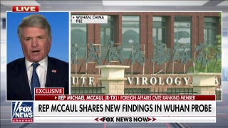 Rep. McCaul shares new findings in Wuhan probe: Increased ‘hospital activity’ in September - Fox News