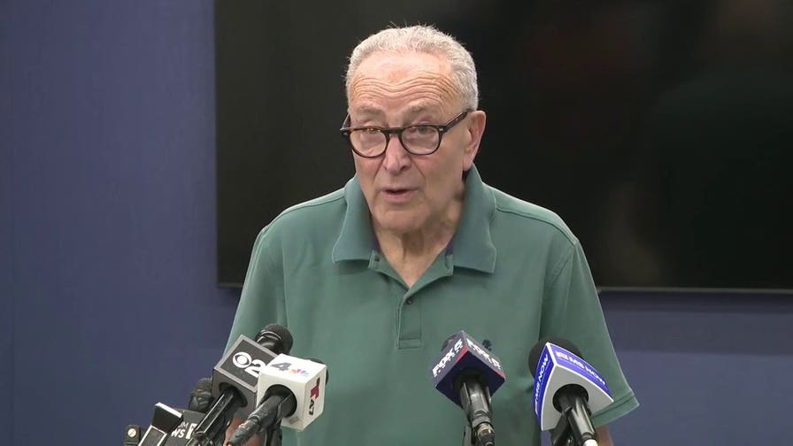 Schumer says ‘ISIS still at it’ after FBI apprehends inspired suspect