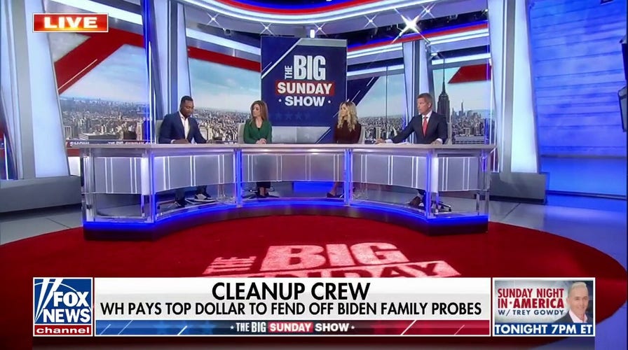 Biden White House pays staff to fend off Hunter Biden probes: Report