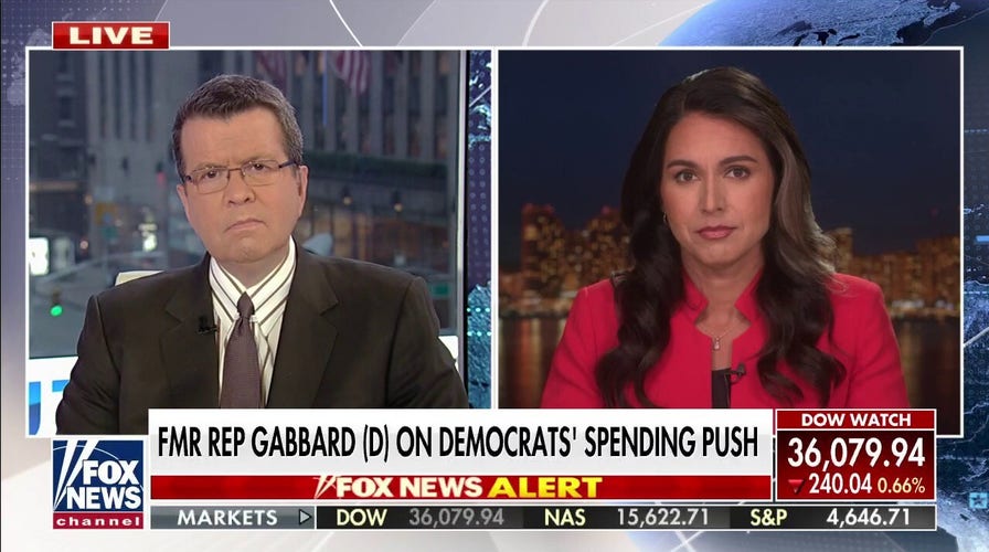 Politicians 'treat us like we're stupid': Gabbard
