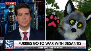 Furry conventions are about ‘bringing people together’: David Kanaszka - Fox News