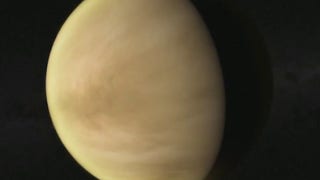 NASA administrator on significance of possible sign of life on Venus - Fox News