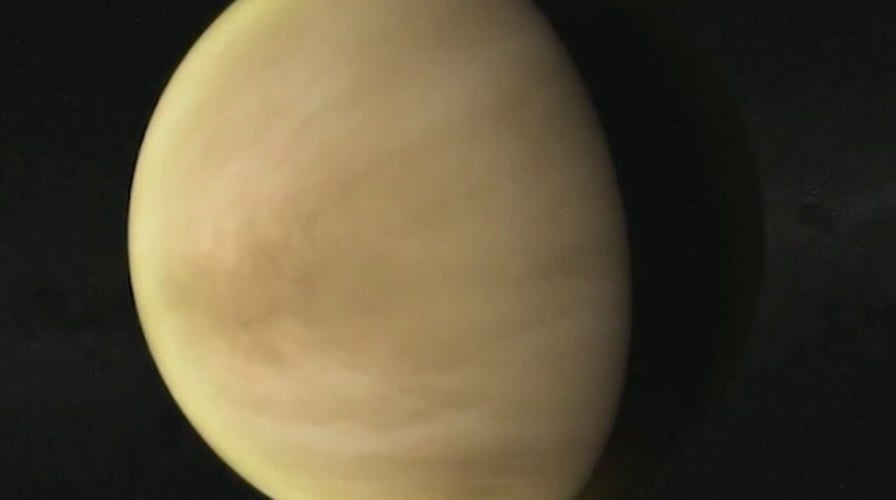 NASA administrator on significance of possible sign of life on Venus