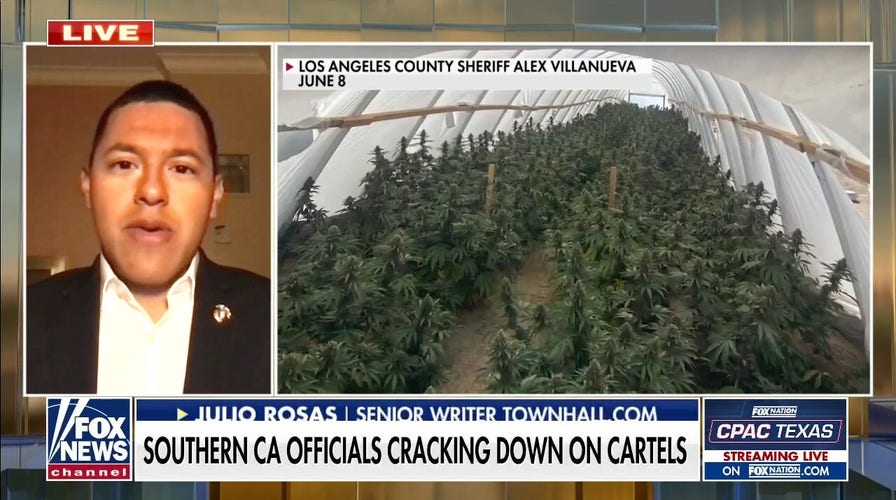 LA County residents threatened by Mexican drug cartels stealing water for marijuana farms