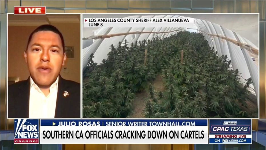 Rep. Mike Garcia: Black market pot, our open border, lax law enforcement – how we fought back in my district