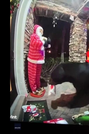 WATCH IT: 'BEARY' sneaky porch pirate