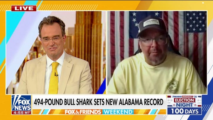 Un equipo de pesca Alabama captura un tiburón toro de 494 libras, récord histórico