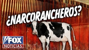 ¿Carne Infiltrada? Ganado, cárteles y una crisis de carne en EE.UU.