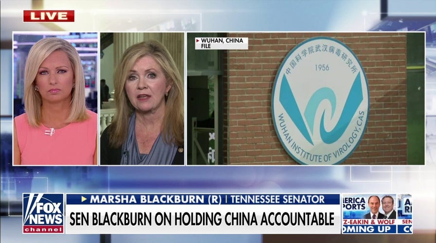 Fauci, China, WHO must answer questions on 'gain of function' research in Wuhan: Blackburn