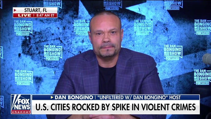Dan Bongino on crime explosion: 'It's only liberals scratching their heads'