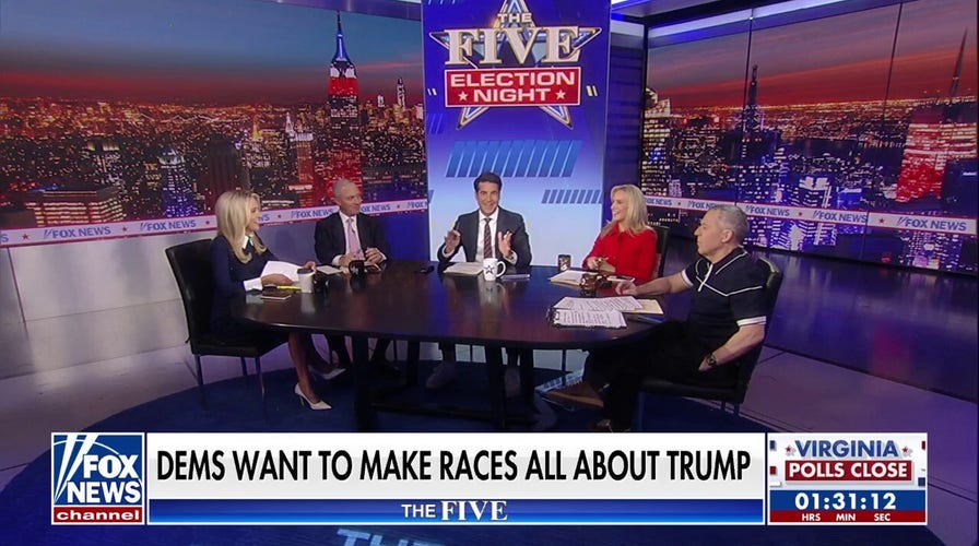 Democrats need to figure out who fits in ‘the tent,’ Dana Perino says 