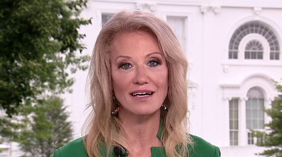 Kellyanne Conway: If Americans can find way to beaches, they can find way to polls