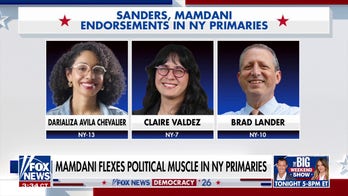 Mamdani backs fellow socialists in NY primaries