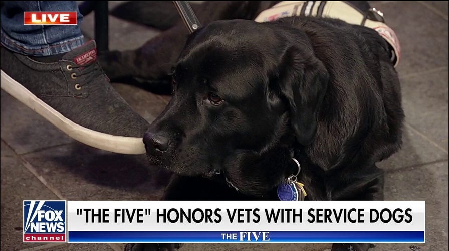 'The Five' honors incredible veterans with service dogs Eddie and Trooper 
