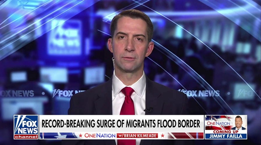Tom Cotton calls for asylum and parole reforms to tackle border crisis