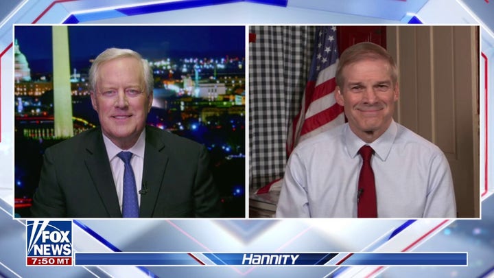 Common sense policy beats crazy every single time, Jim Jordan says