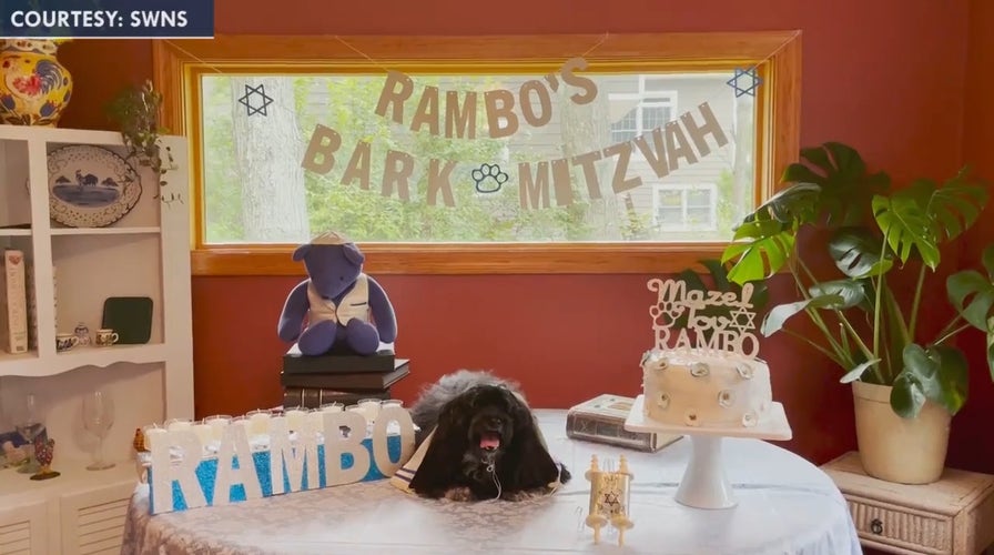 Dog's family sets up 'Bark Mitzvah' for his 13th birthday