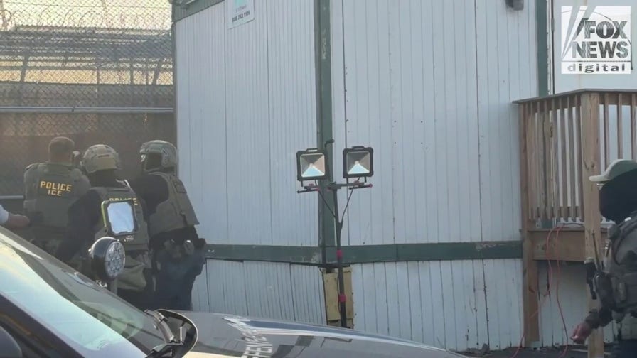 Anti-ICE agitator detained in New Jersey