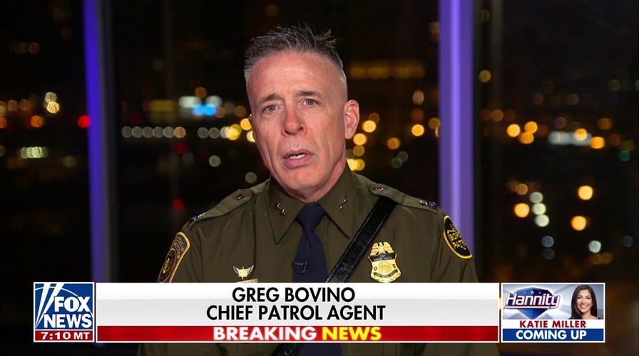 This happens EVERY DAY in Chicago: CBP chief patrol agent