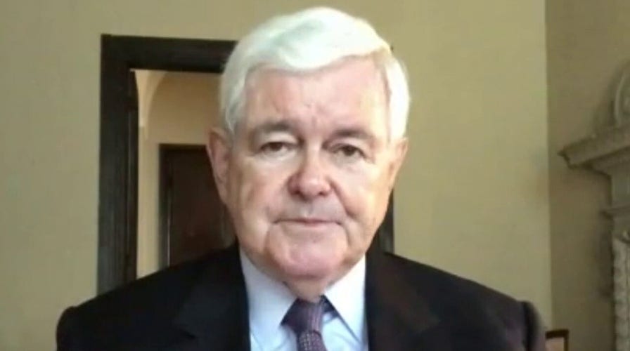 Gingrich on defund police movement, Biden's return to campaign trail, threats to US monuments