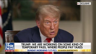 Trump announces plans for 'temporary immigration pass'