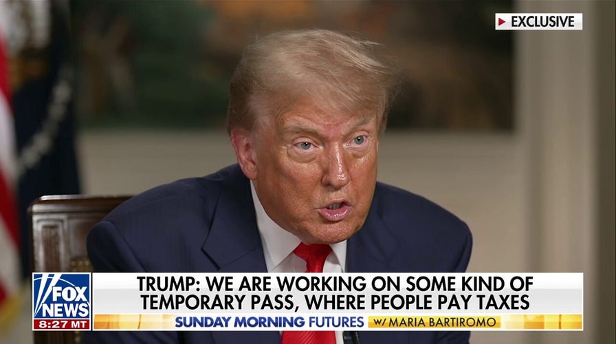 Trump announces plans for 'temporary immigration pass'