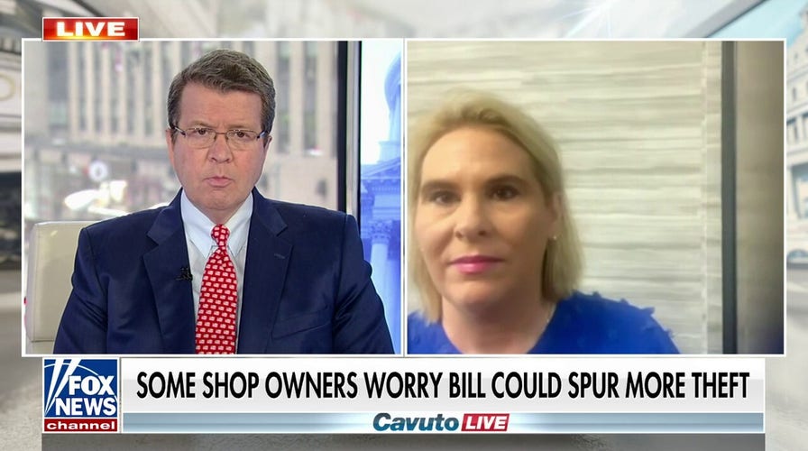 Rachel Michelin on CA shoplifting bill: 'We all want a safe working environment, but this isn't the way to do it'