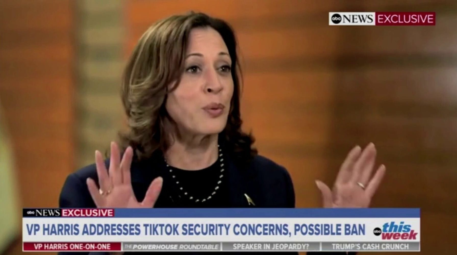 Vice President Harris Dodges Questions on Biden-Harris Campaign's TikTok Account