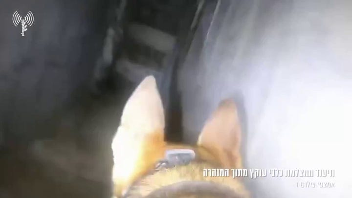 Israel released footage from army canine in Hamas tunnels