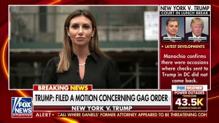 Alina Habba: All we've heard from Trump's trial is election interference - Fox News
