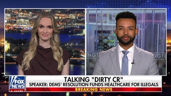It's 'rich' that Democrats are trying to blame Republicans for a shutdown: Kaylee McGhee White