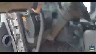 WATCH: Texas DPS discovers 20 illegal aliens crammed into semi-truck