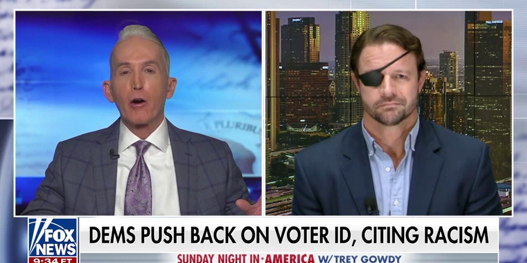 ‘Cannot rationalize’ Democrats’ opposition to voter ID laws, Texas congressman says