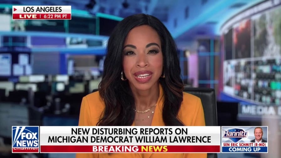 Michigan Democratic candidate tries to justify deleted posts that reveal far-left beliefs