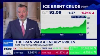 Ted Cruz shuts down possibility of lengthy military operation in Iran, says it's 'not Iraq'