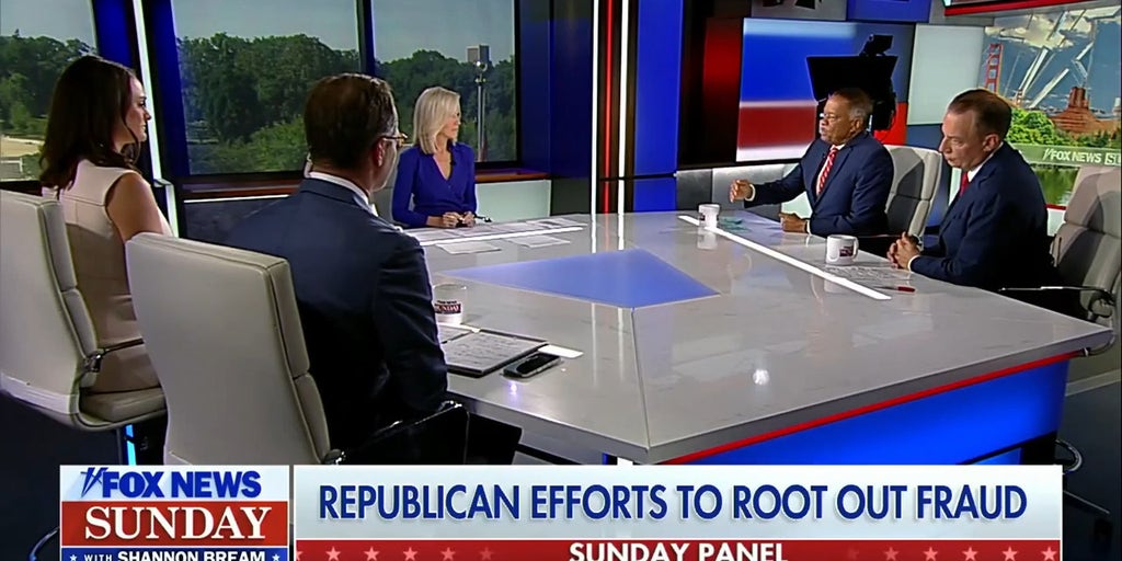 Republican anti-fraud efforts are a ‘rescue mission for taxpayers,’ expert says