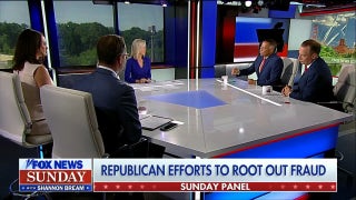 Republican anti-fraud efforts are a ‘rescue mission for taxpayers,’ expert says