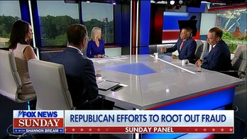 Republican anti-fraud efforts are a ‘rescue mission for taxpayers,’ expert says
