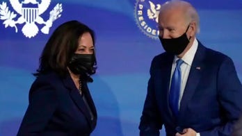 Vice squad